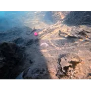 Plumb Inline cu TIja Delphin CyberBARBED TUBE