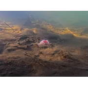 Plumb Pentru PVA Bag Delphin CyberBARBED PVA TUBE