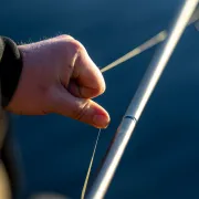 Lanseta Pentru Nadit la Crap Avid Carp Elevate Spod/Marker, 3.96m, 200g, 2buc