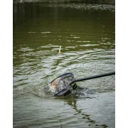 Pluta Waggler Matrix Foam Pellet Waggler, 9mm