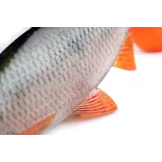 Fox Rage Ultra-Realistic Roach Replicant