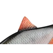 Fox Rage Ultra-Realistic Roach Replicant