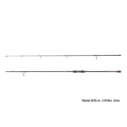 Lansetă Crap Delphin SYMBOL Carper,3.0m,3.00lbs ,2buc