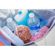 Geanta Guru Fusion Mini Cool Bag, 22x22x27cm