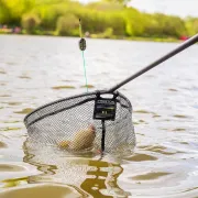 Cap Minciog Preston Carbon F1 Latex Landing Net 40cm