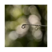 Lanseta Avid Elevate, 13ft ,3.75 lbs ,2buc - Performanta Premium pentru Pescari Profesionisti