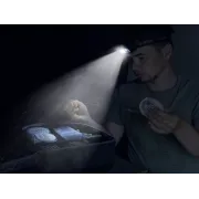 Lanterna Frontală Delphin ORBIX – LED 350lm, Senzor Mișcare, USB-C