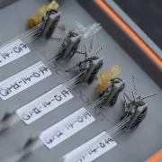 Penar Rigid pentru Riguri Guru Stealth Rig Case 6 Inch, 19.5x9x2.5cm