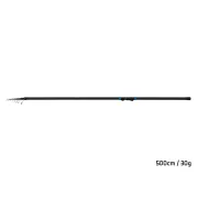 Lanseta Bologneza Delphin BoloneX, 5.00m, 30g