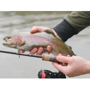 Lanseta Pastrav Delphin Troutera HardLure, 1.80m, 1-5g, 2buc