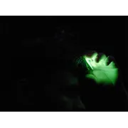 Lanterna Cap Delphin Lumis 3W, 220lm, Senzor Miscare – Outdoor