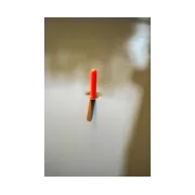 Pluta Korum Classic Waggler Float