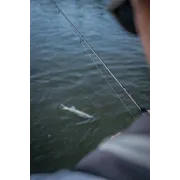 Lanseta spinning Fox Rage Warrior Zander Jig Rod – 2.40m, 10-30g, 2 tronsoane