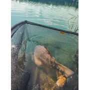 Minciog Fencl Folding Tele Net Max XXL,78x82x230cm – Telescopic si pliabil