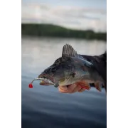 Shad siliconic Fox Rage Scent Shads – 7cm