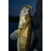 Shad siliconic Fox Rage Scent Shads – 7cm