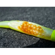 Shad siliconic Fox Rage Scent Shads – 7cm