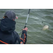 Lanseta Feeder Guru A-Class Distance Method Feeder, 3.66m, 1-80g, 2+2buc