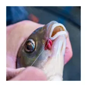 Carlige Guru Kuranku, 10buc/plic