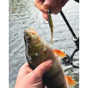 Jig Fox Rage Micro Ned Heads Camo - Marime #1 - 2g, 3g, 4g, 5g