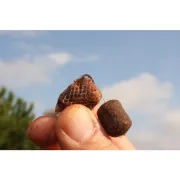 Kit Plasa Solubila Korda Original Funnel Web PVA System + Tija Compresie, 7m