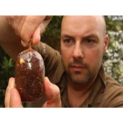 Kit Pungi PVA XS + Incarcator Korda Solidz PVA Bag System, 25buc/plic