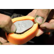 Matrita Incarcare Nada Guru X-Press Method Mould