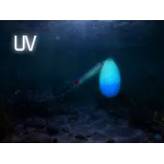 Lingura Rotativă Delphin ARCH,2g,Nr.0