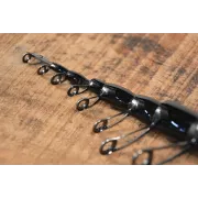 Lanseta Bologneza Benzar No Limit Bolo, 6m, 50-120g