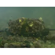 Method Feeder Ecologic fără Plumb Delphin Method QUIX ECO XL