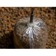 Pungi PVA Avid Carp Transfer Solid PVA Bags, 25buc/plic