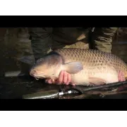 Plasa de cantarire TRAKKER sanctuary retention sling v2 - XXL