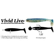Set Shaduri Smith Vivid Live 80mm 02
