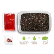 Pelete Box Delphin Reaxe READY&GO,400g,Somon – Creveti