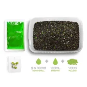 Pelete Box Delphin Reaxe READY&GO,400g,Usturoi-Butyric