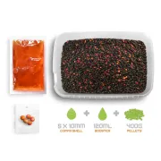 Pelete Box Delphin Reaxe READY&GO,400g, Mango-Piersica