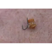 Inele Elastice Momeala Preston Hookable Bait Bands