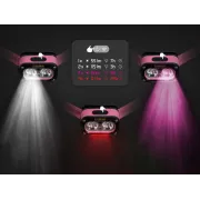 Lanterna de Cap Delphin QUEEN