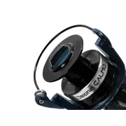 Mulineta Delphin Calmo