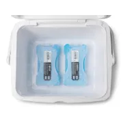 Set Lazi Frigorifice Delphin TwiceBOX 2in1
