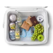 Set Lazi Frigorifice Delphin TwiceBOX 2in1