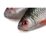 Swimbait Fox Rage Ulta Realistic Replicant, Ultra Natural Roach, 1buc/pac