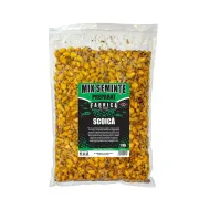 Mix de Seminte Preparate - Scoica Fabrica de Nada, 1kg