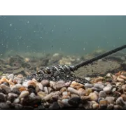 Momitor cu Tija Delphin WireX Spring Feeder