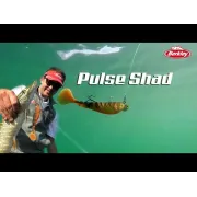 Set Shaduri BERKLEY Powerbait Pulse, Sparkle Pearl, 6cm, 8buc/plic