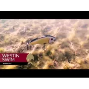 Vobler WESTIN Swim Glidebait, Suspending, 3D Water, 6.5cm, 9g