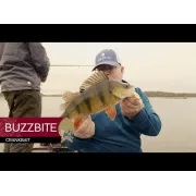 Vobler WESTIN BuzzBite Crankbait, Floating, Fire Tiger, 4cm, 4g