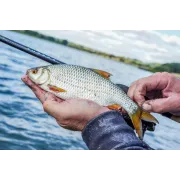 Lanseta Preston Carbonactive Supera Float 13ft, 3.96m, 6-18g, 3buc