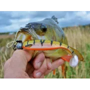 Shad WESTIN Shadteez Slim, Gold Rush, 10cm, 6g, 3buc/plic