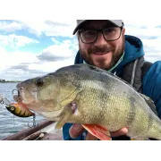 Vobler WESTIN BuzzBite Crankbait, Floating, Steel Sardine, 4cm, 4g